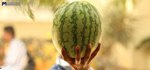 娱乐圈可以吃瓜